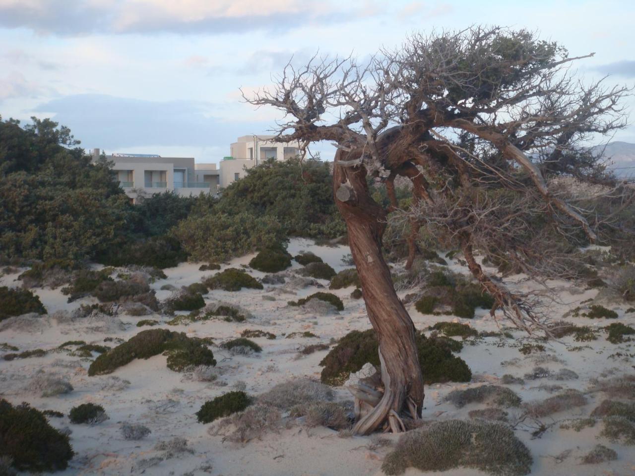 Double Bay Beach Hotel Elafonissos Exteriör bild